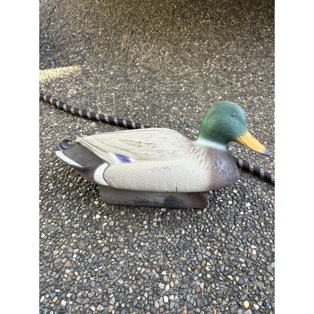 Mallard Drake‎ Duck Floating Decoy Shot Decor